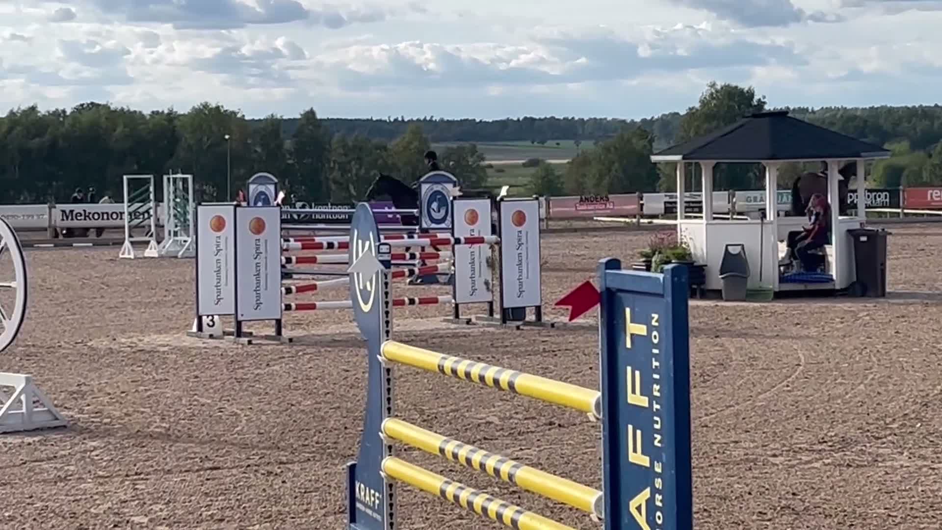 Hoppning hästar till salu: 8-årigt sto med placeringar upp till 135  - Video 1
