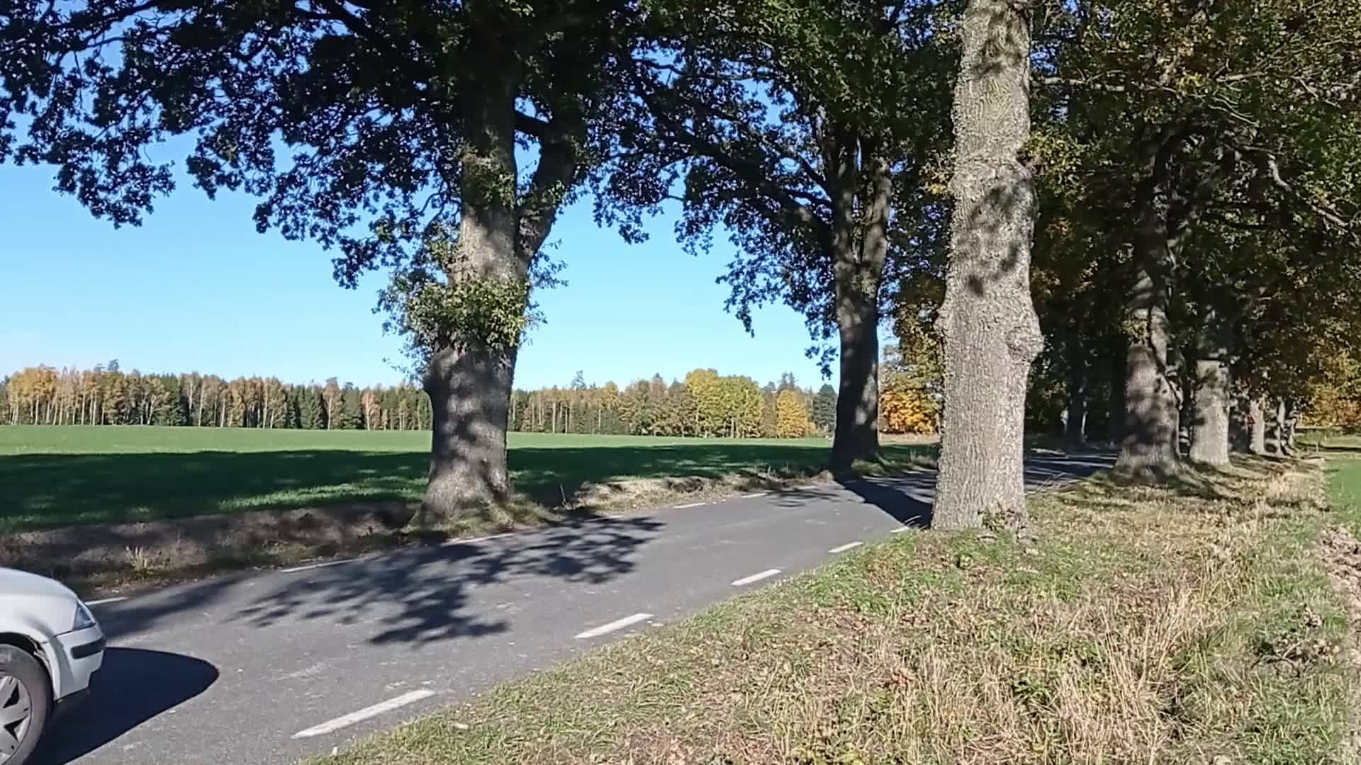 Hästtransporter  fordon & transport till salu: Fin BOJ i aluminium i Valla - Video 1