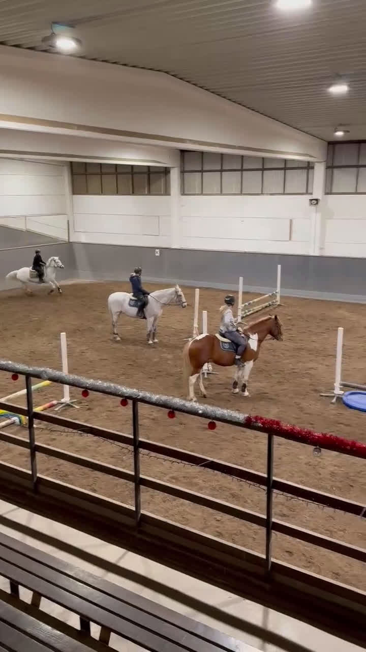 Allround hästar till salu: Mysig allaroundponny! - Video 5