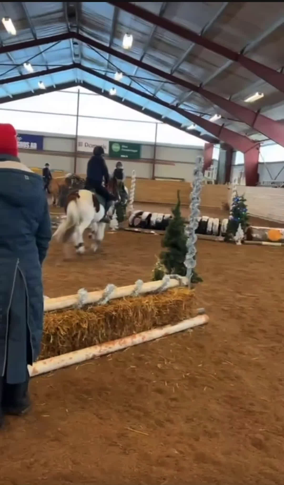 Allround hästar till salu: Superhärlig ponny i Mantorp - Video 3