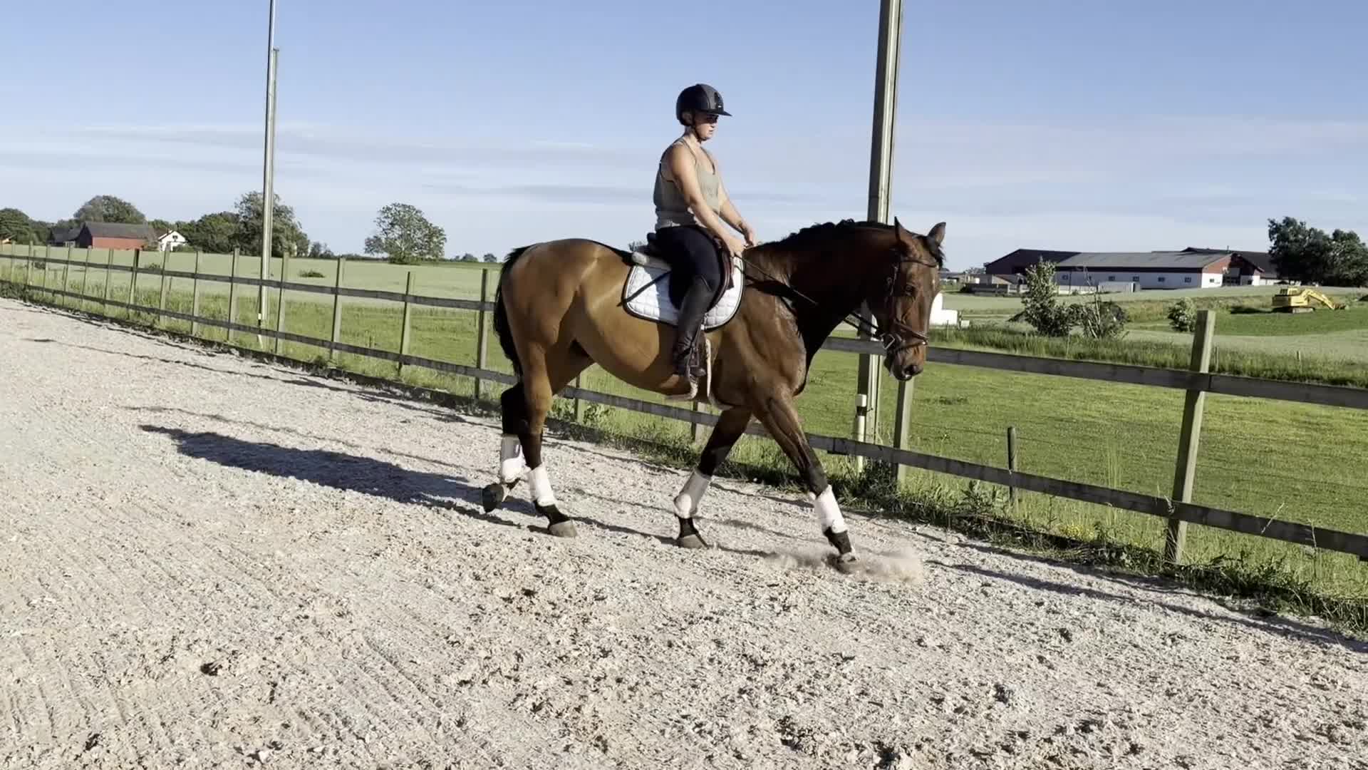 Allround hästar till salu: ⭐️FIN KILLE FÖR DIG SOM VILL UTVECKLA SJÄLv⭐️ - Video 4