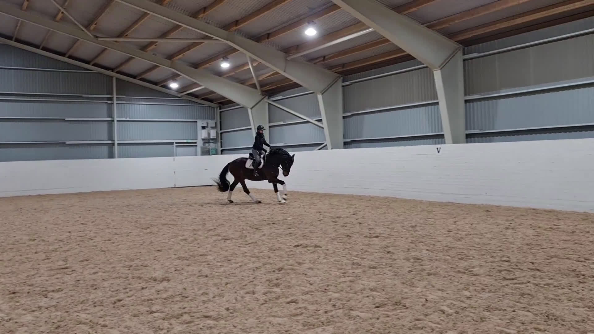 Dressyr hästar till salu: Trevlig valack  - Video 1