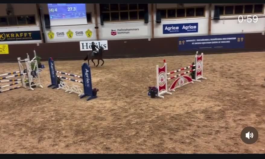 Allround hästar till salu: Okomplicerad och kapabel drömponny tillsalu  - Video 1