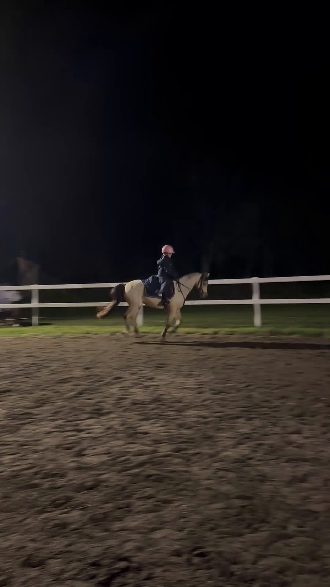 Allround hästar till salu: Superfin B-ponny  i Broddetorp - Video 1