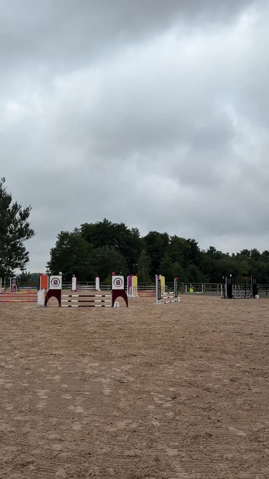 Hoppning hästar till salu: Försiktigt sto med hjärta av guld! - Video 4