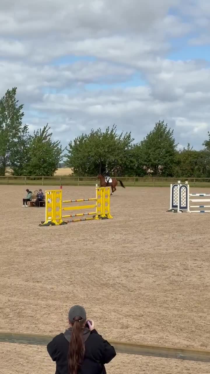 Hoppning hästar till salu: Supersnäll hopppkompis med fin stam! - Video 1