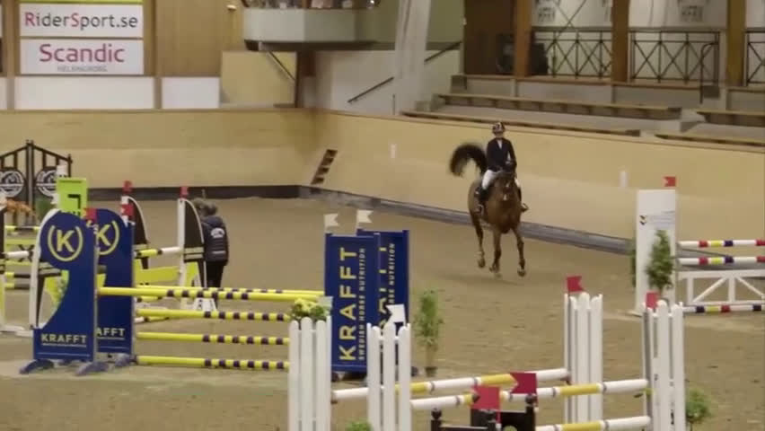 Hoppning hästar till salu: Tränings- och tävlingskompis  i Knäred - Video 1