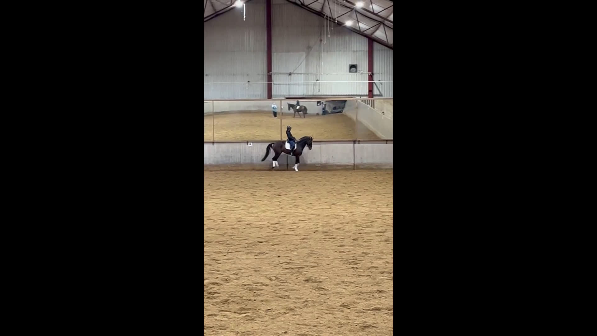 Dressyr hästar till salu: Fin Dressyrhäst i Drottningholm - Video 1