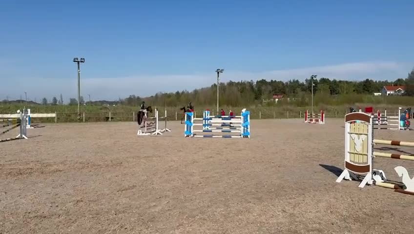 Hoppning hästar till salu: Hesten med hjertet av gull tilsalgs  - Video 1