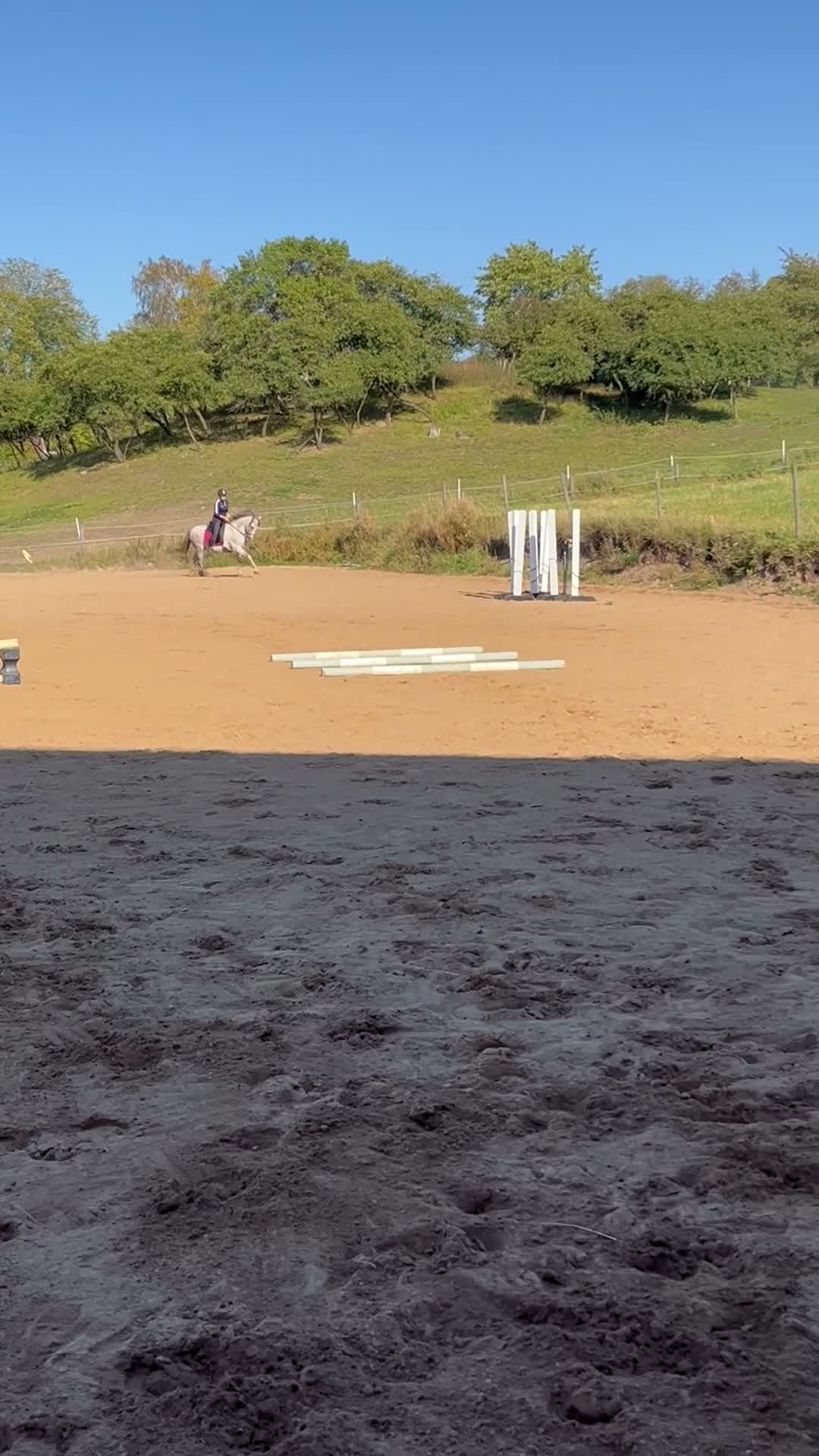 Allround hästar till salu: Spansk gentleman - Video 2