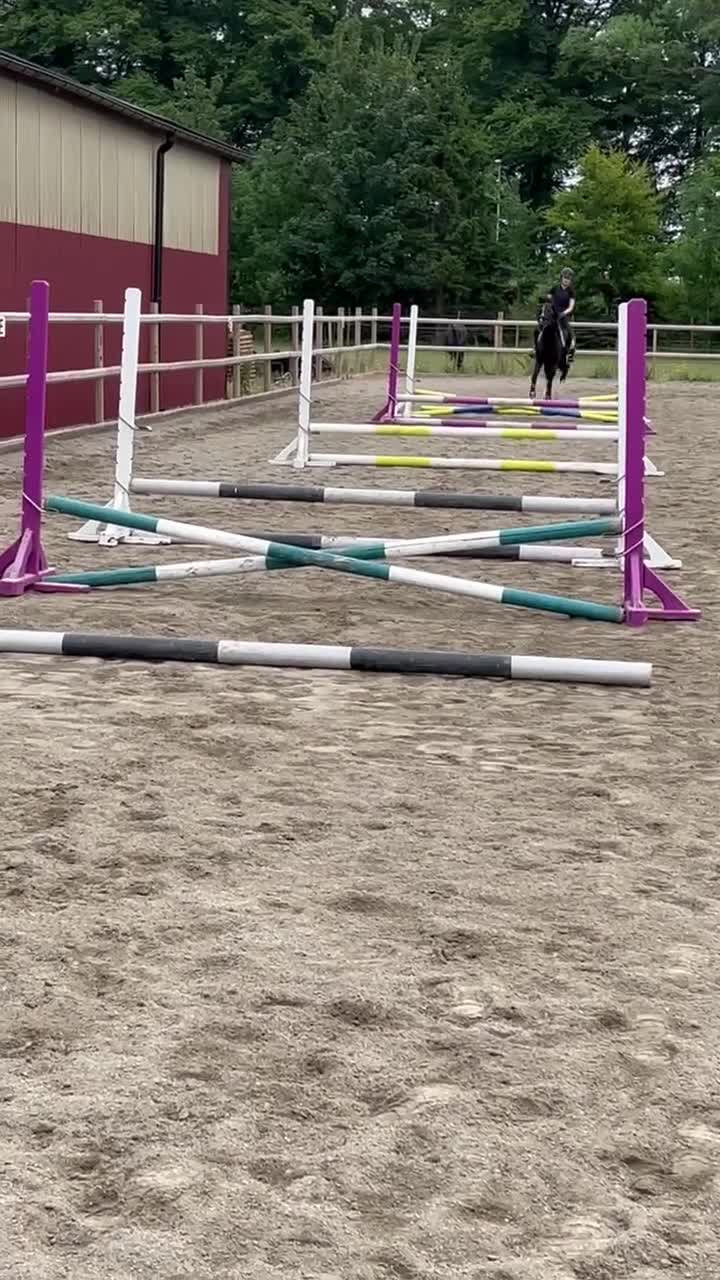 Allround hästar till salu: Fin maxad B-ponny - Video 2