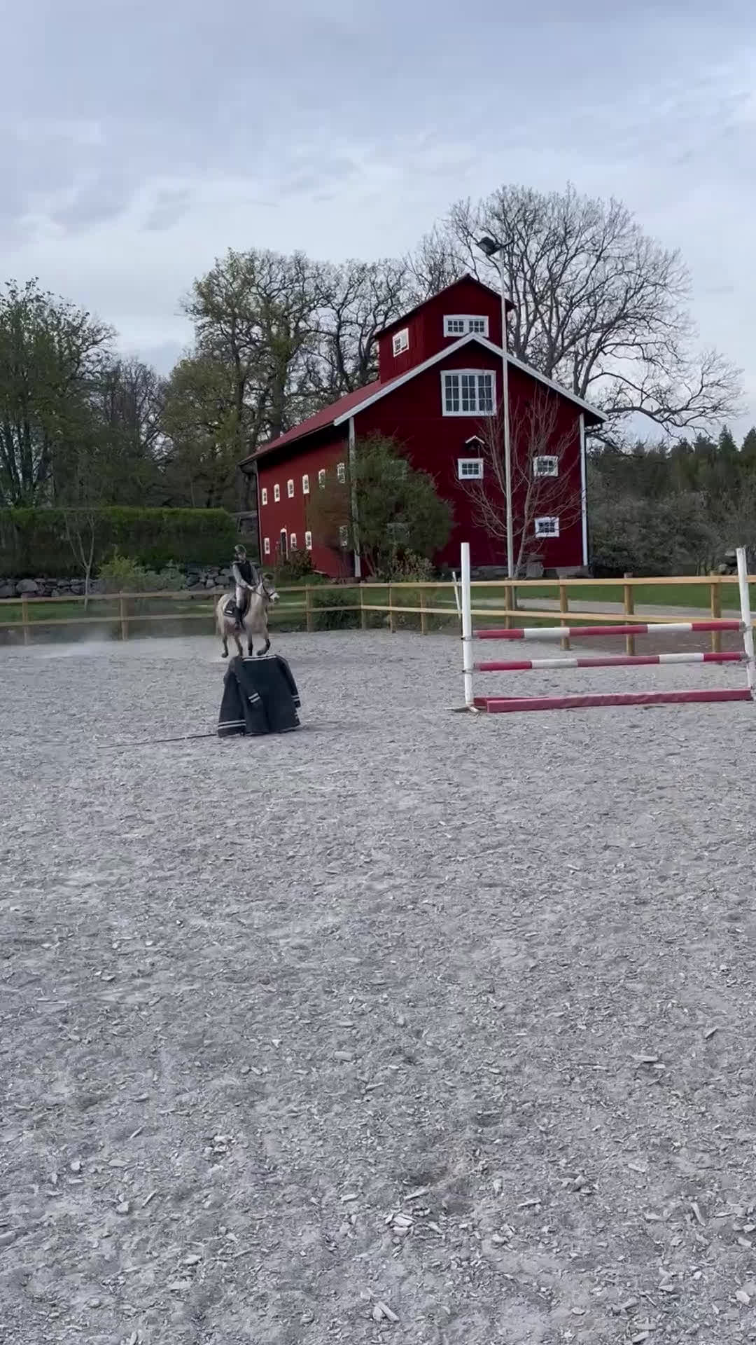 Allround hästar till salu: Unik Bästa Vän  - Video 4