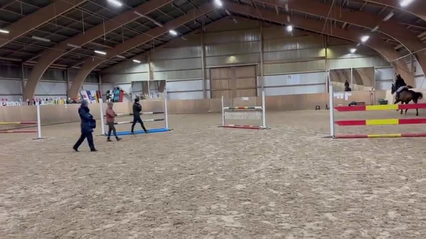 Hoppning hästar till salu: Okomplicerad storhäst i Tomelilla - Video 2