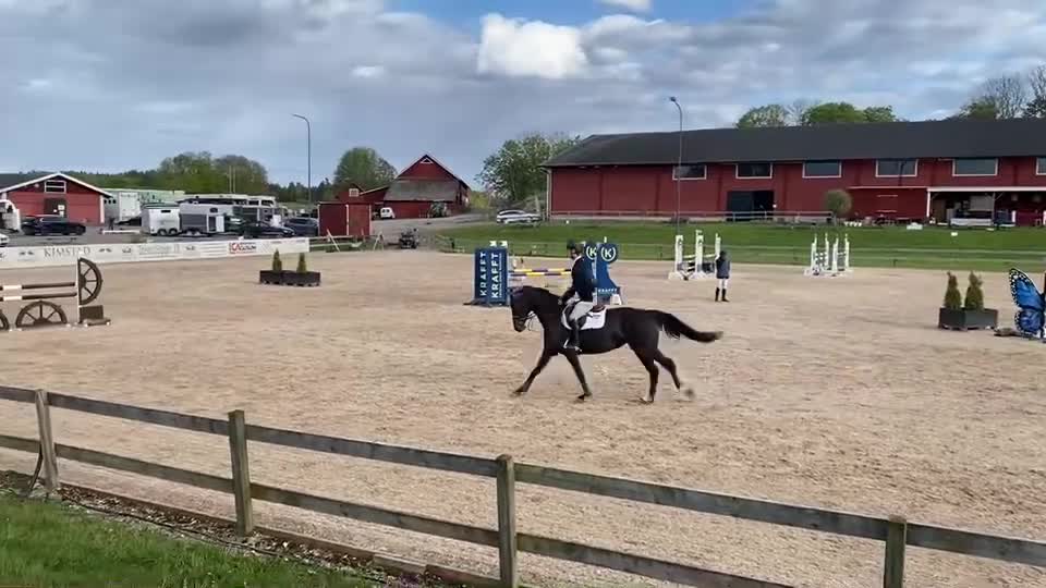 Hoppning hästar till salu: 2019 e: Gamelus R, 120 nivå - Video 1