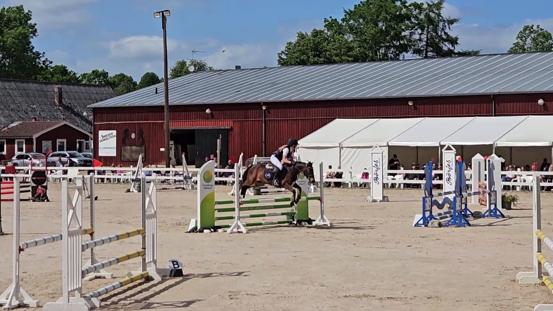 Hoppning hästar till salu: Vår b-ponny era håller på att ta slut.... i Varberg - Video 1