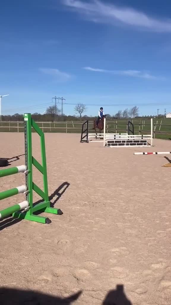 Hoppning hästar till salu: SWB Valack - Video 1