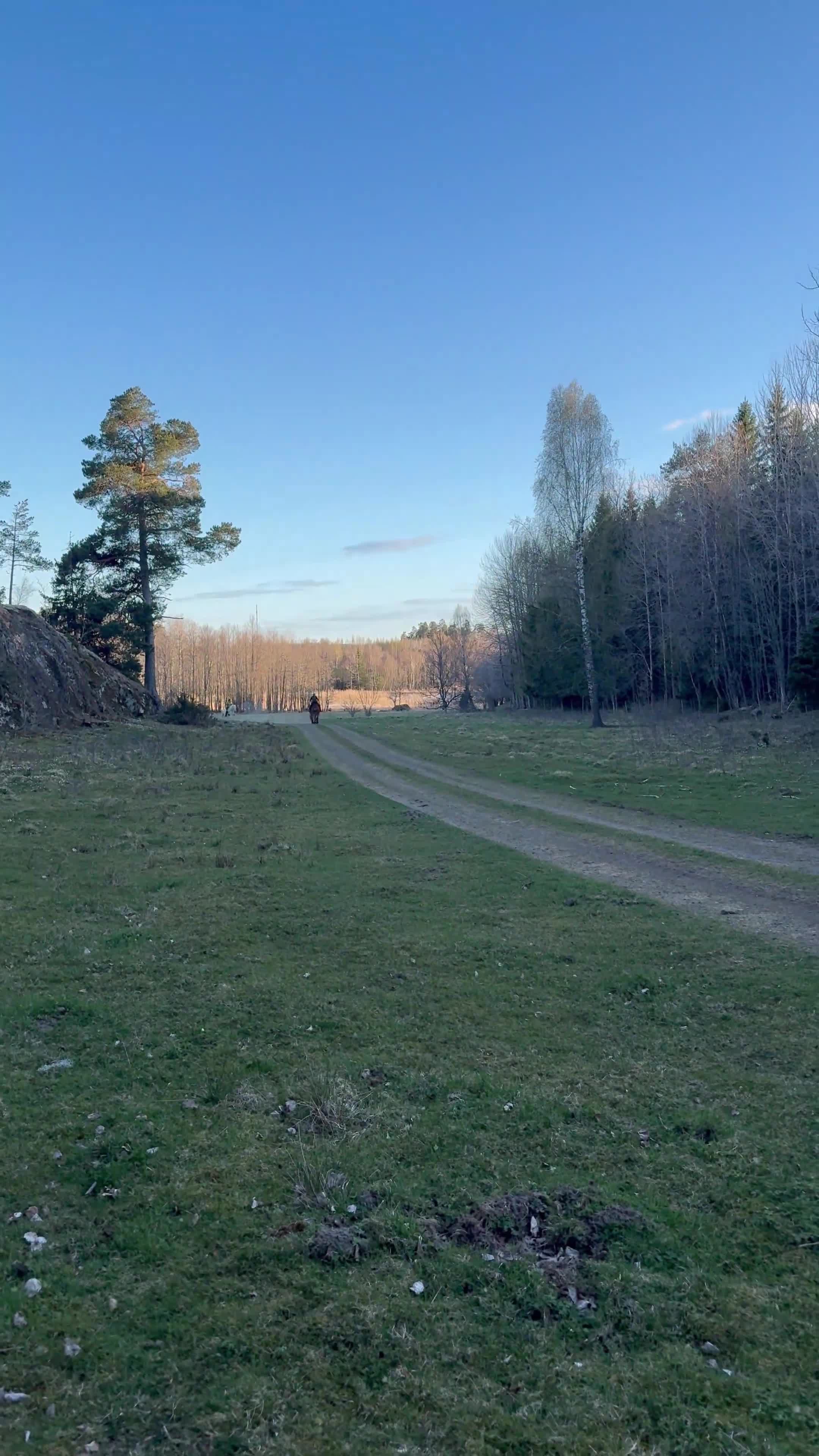 Körning hästar till salu: Minus söker sitt rätta hem - Video 2