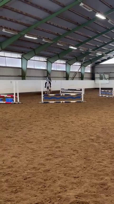 Allround hästar till salu: Fin häst för den som vill ha utmaning - Video 4