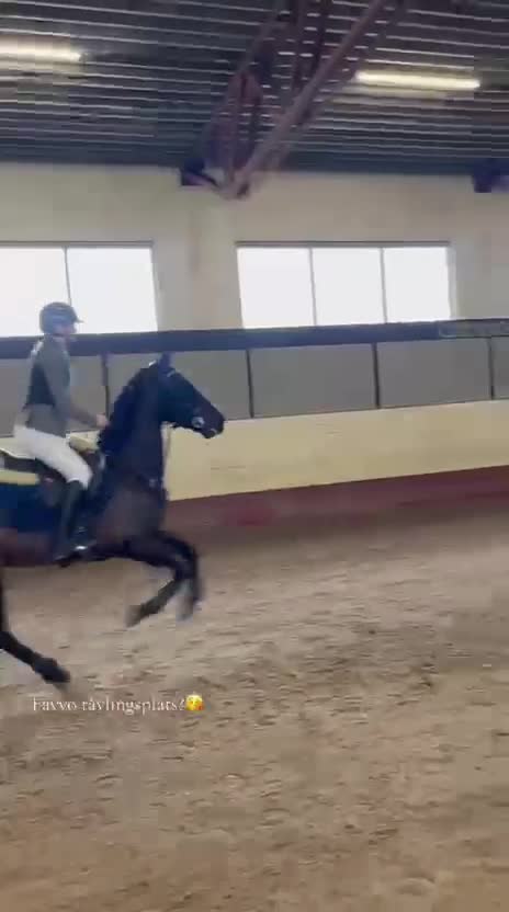 Hoppning hästar till salu: Pigg D-ponny - Video 1