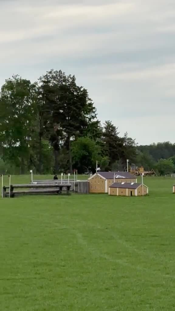 Hoppning hästar till salu: SWB-valack, f. 18, e. Click and Cash - Video 3