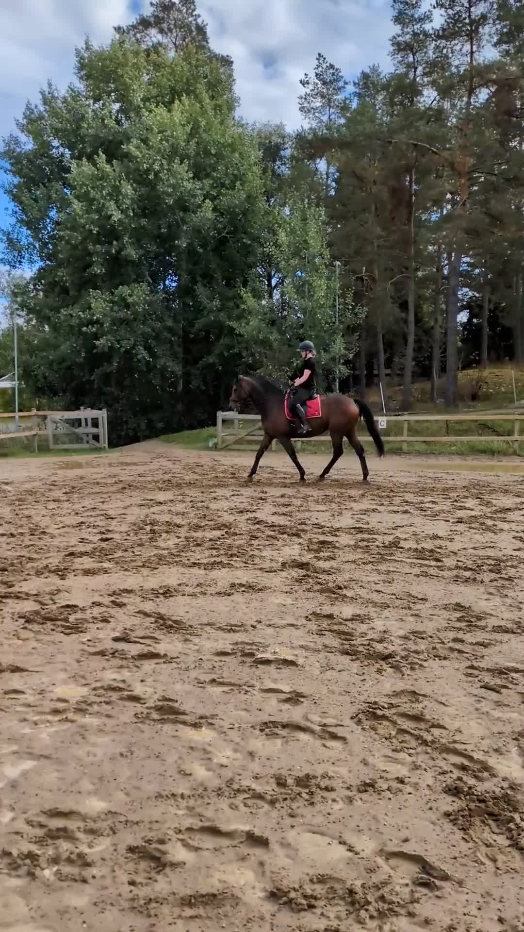 Dressyr hästar sökes: Dressyr läromästare/ låna och ta lektioner på i Vagnhärad - Video 3