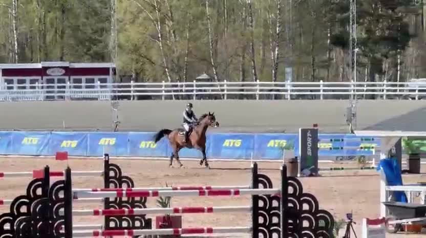 Hoppning hästar till salu: Svårklass häst  i Enköping - Video 2