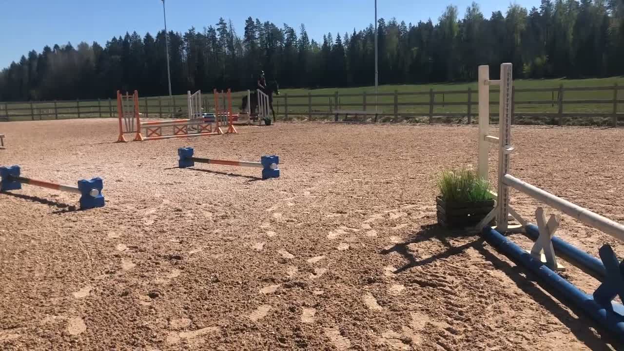 Allround hästar till salu: 5-årigt sto e. Cabachon - Video 1