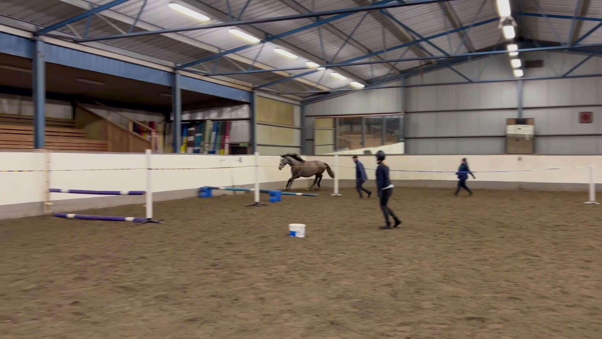 Hoppning hästar till salu: Framtidsämne  i Sävsjö - Video 1