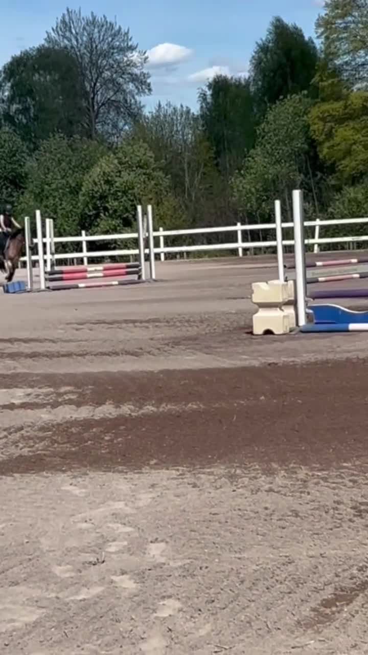 Allround hästar till salu: 🌸 Perfekt barnponny med ett hjärta av guld! 🌸 - Video 2