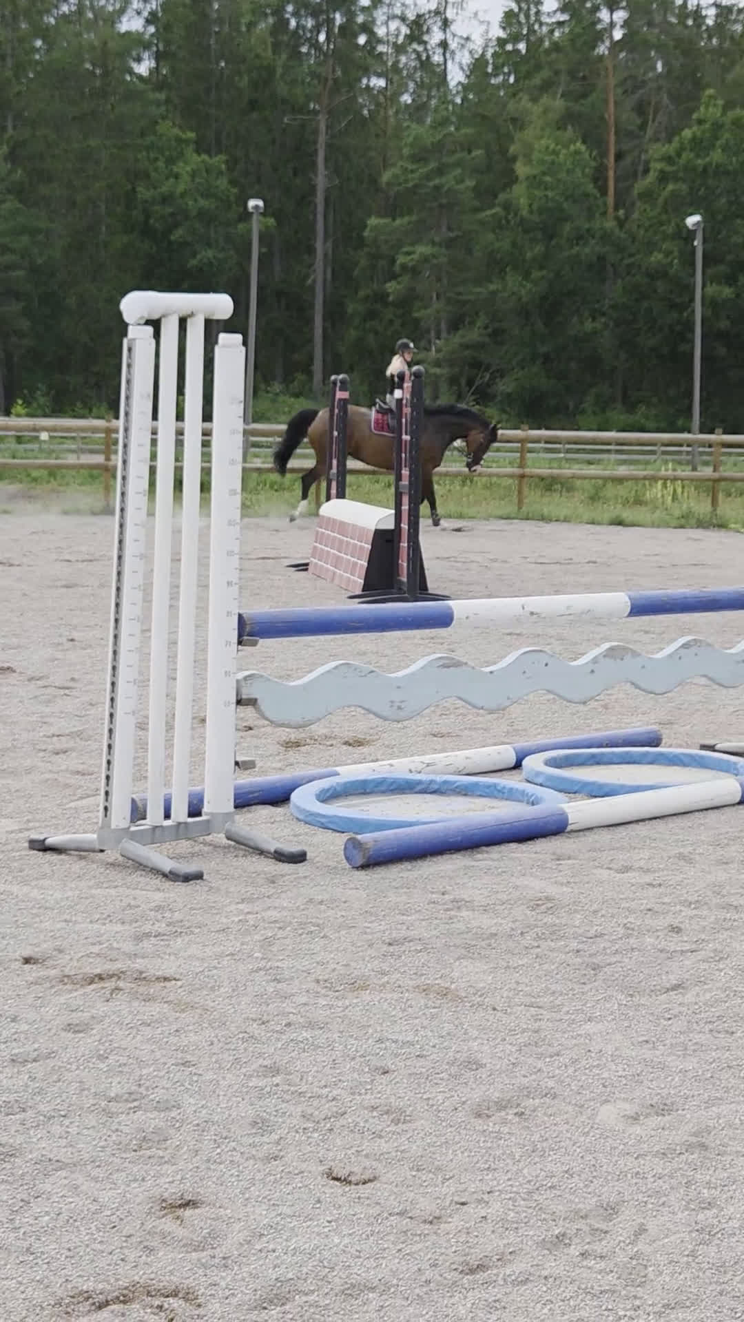 Allround hästar till salu: Balenzia – trevlig och lättriden hobbyhäst - Video 4