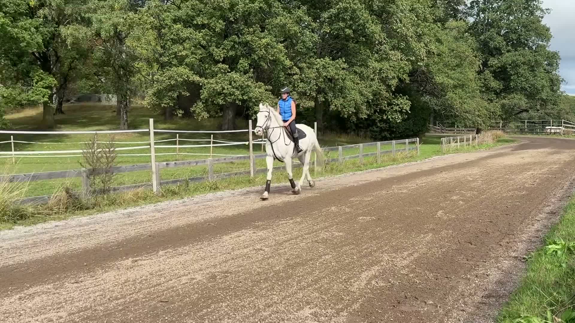 Allround hästar till salu: Super snäll valack  - Video 1