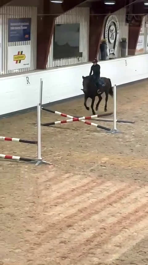 Allround hästar sökes: ⚠️MEDRYTTARHÄST/FÖDERHÄST SÖKES I SUNDSVALL⚠️ i Sundsvall - Video 1