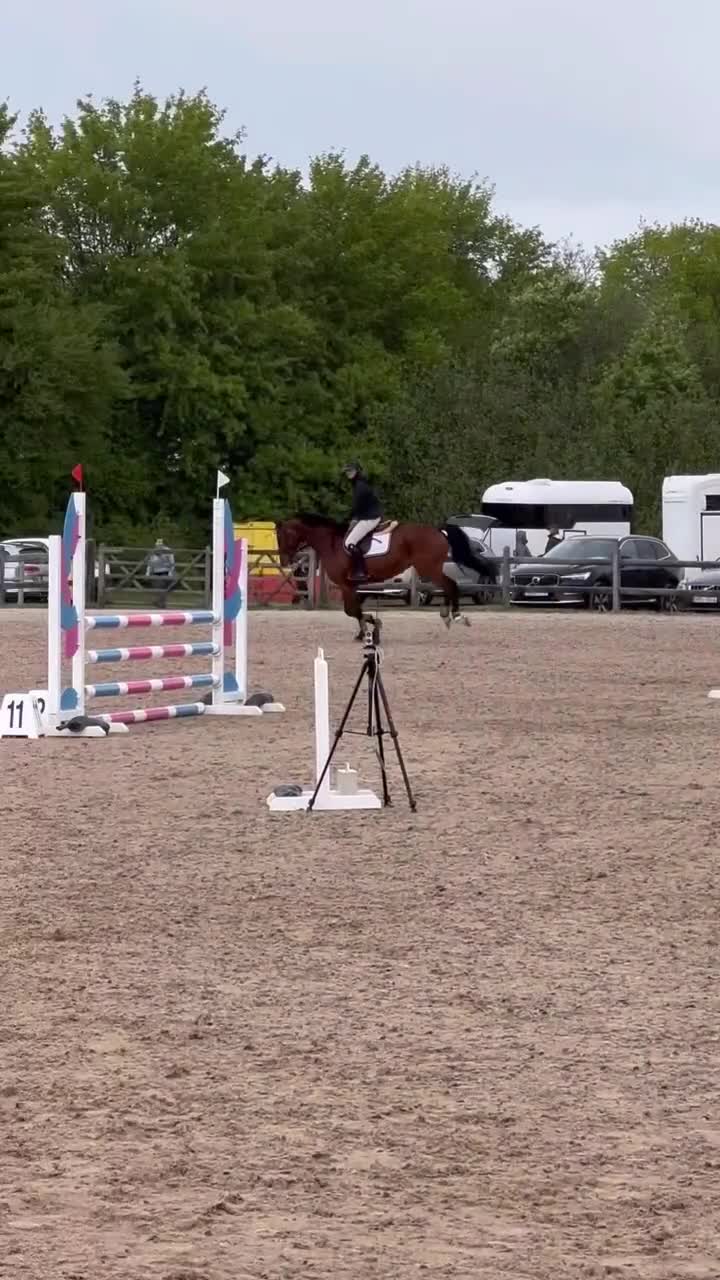 Hoppning hästar till salu: Cool ”autoride” för championaten - Video 5