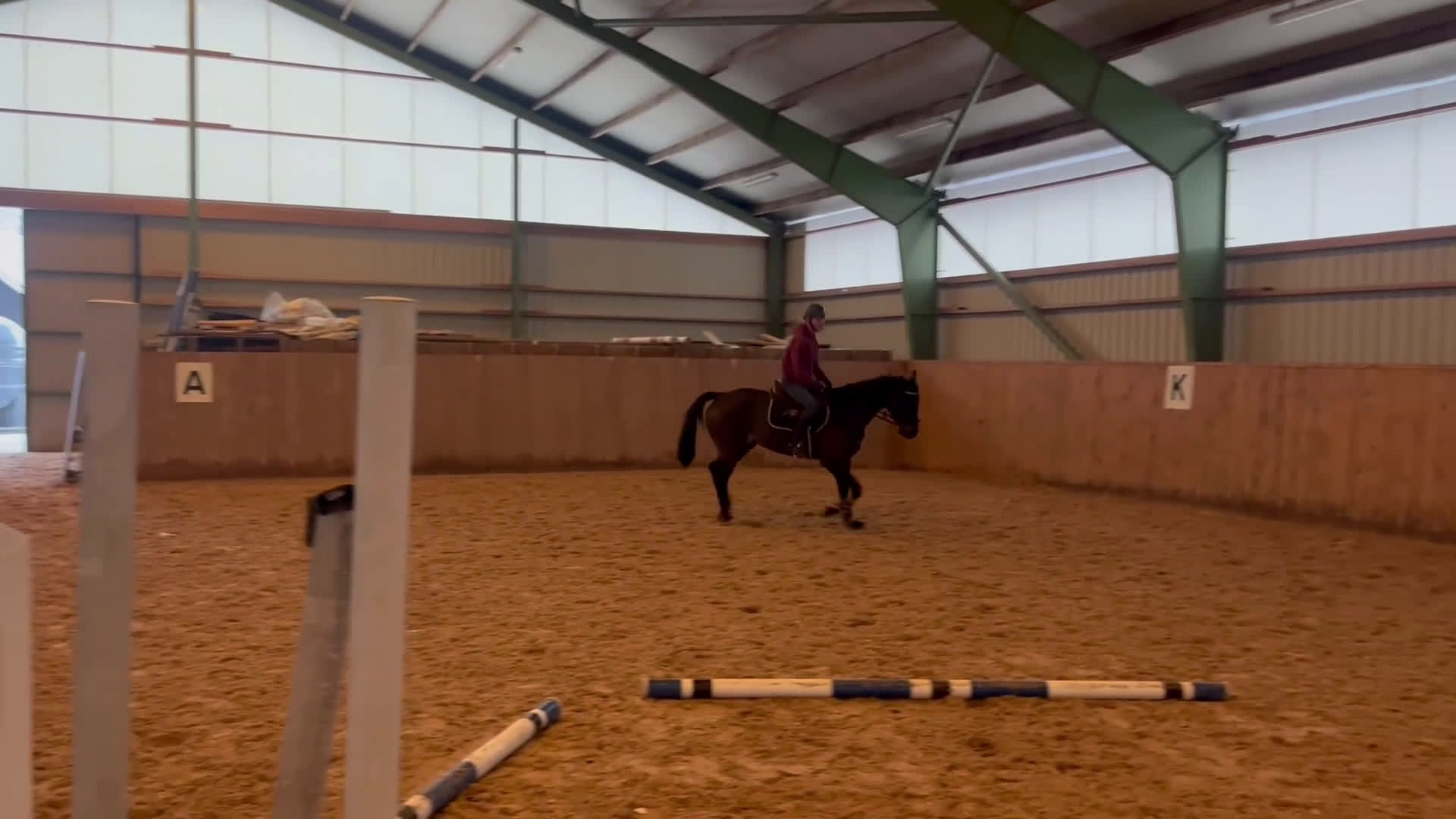 Hoppning hästar till salu: Drömhästen finns här! SÅLD! i Höör - Video 3