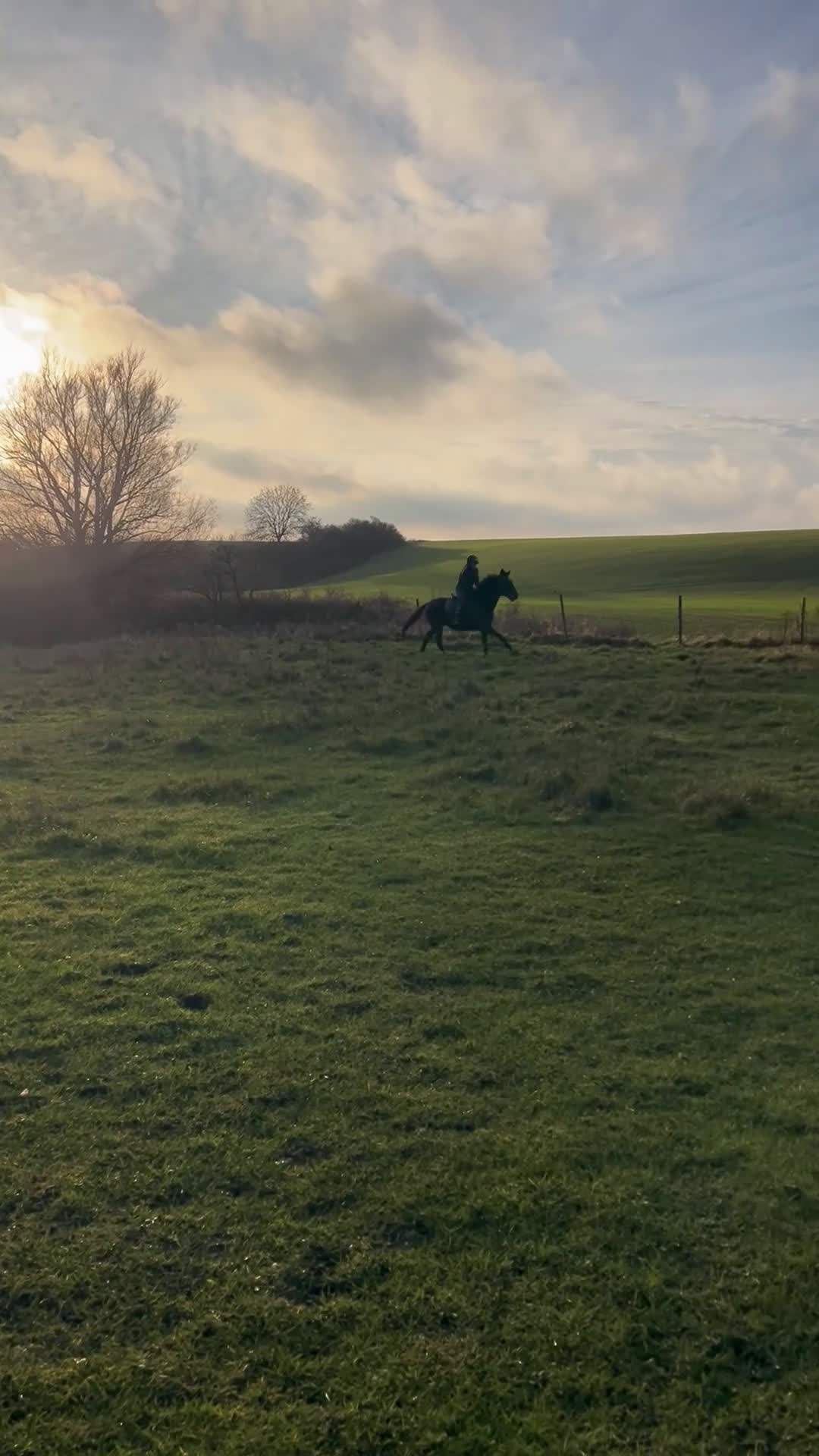 Allround hästar till salu: Perfekt första häst  i Svedala - Video 1