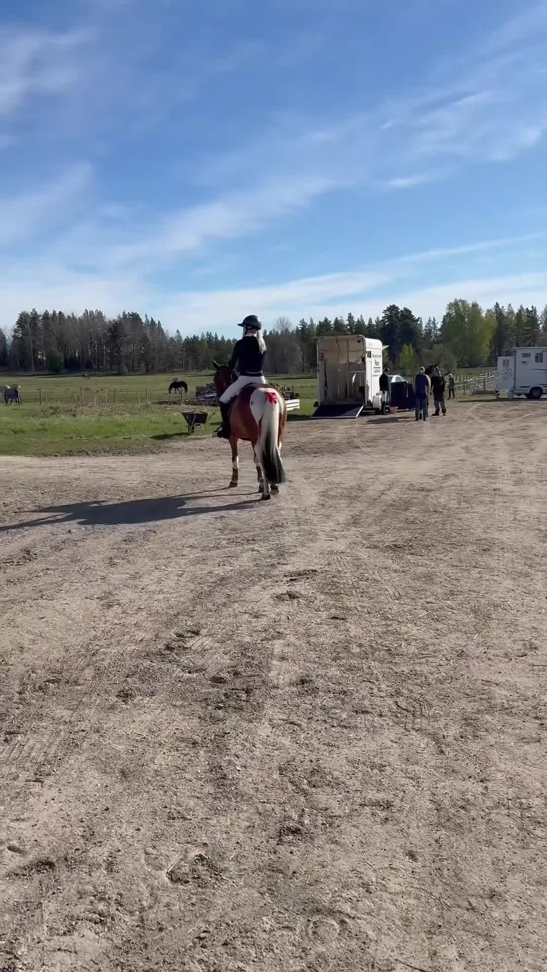 Hoppning hästar till salu: Baby shark🌟🌟🏆🌸 - Video 4