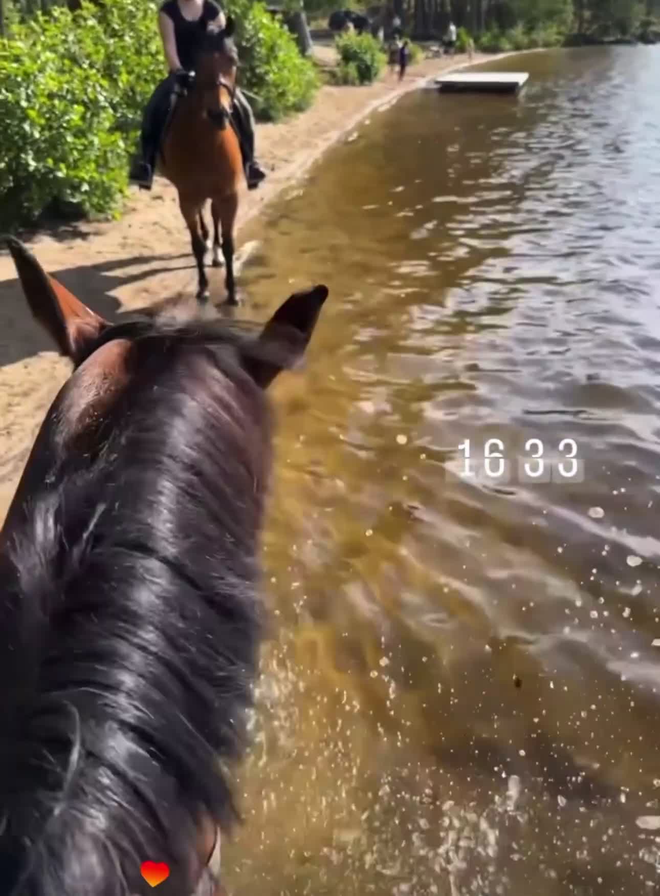  foderhäst finnes: Snällt sto med personlighet söker fodervärd🌟 - Video 1