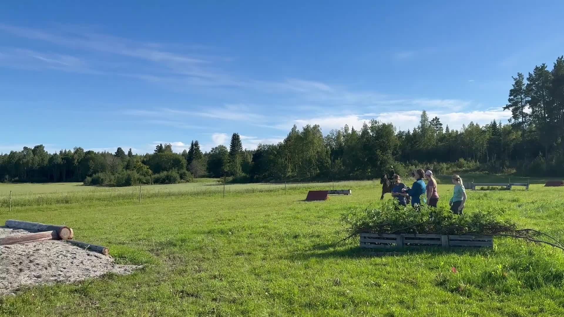 Hoppning hästar till salu: Välutbildad läromästare med hjärta av guld ❤️ - Video 1