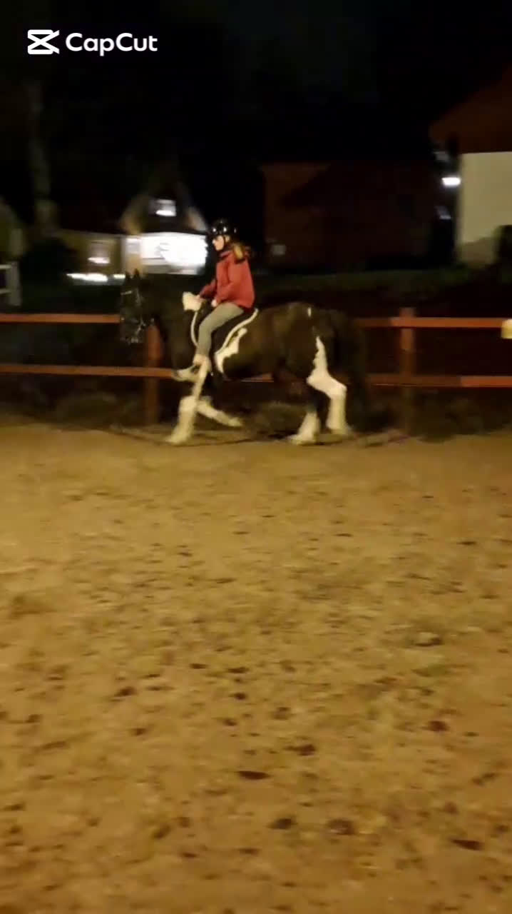  medryttarhäst finnes: Medryttare sökes till vår D-ponny Lottie i Landvetter - Video 1