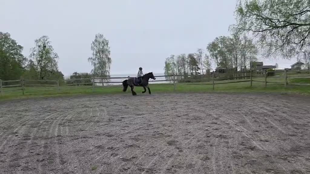 Allround hästar sökes: En bästa vän FINNES - Video 2