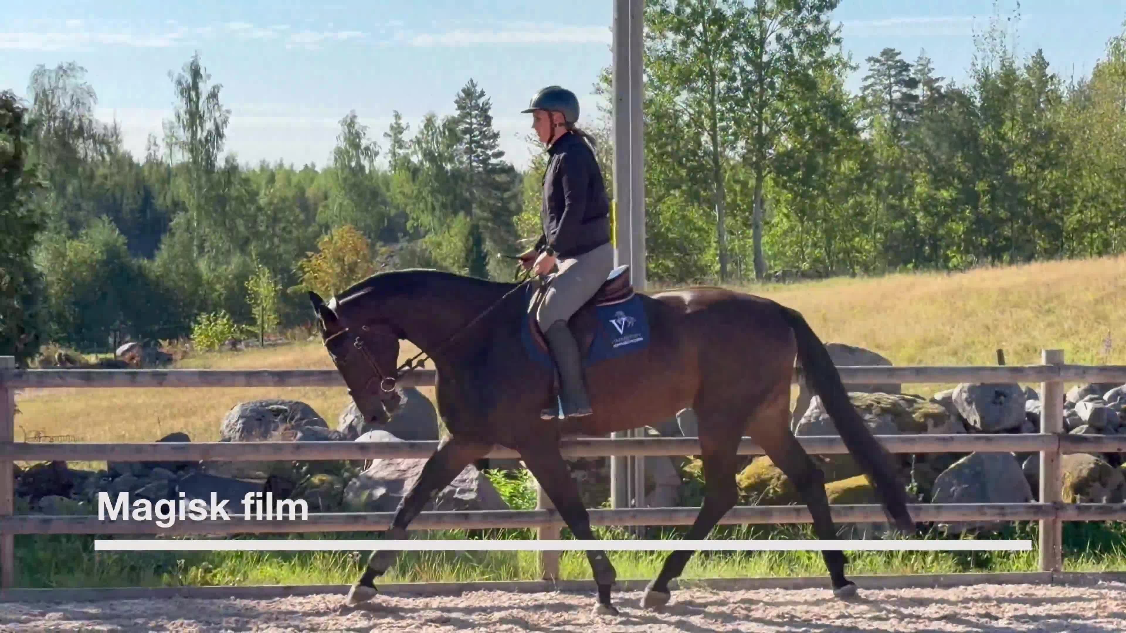 Hoppning hästar till salu: Lovande 5 åring - Video 2