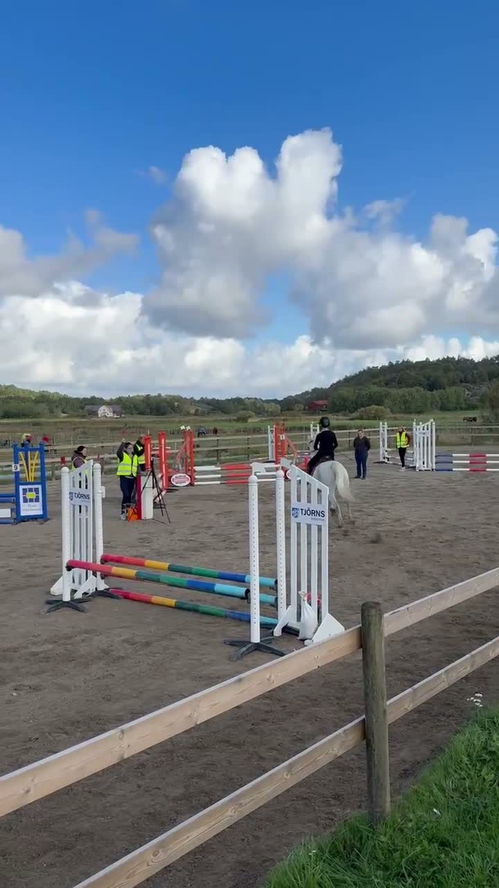 Hoppning hästar till salu: Söker du din framtida tävlingsponny? - Video 1