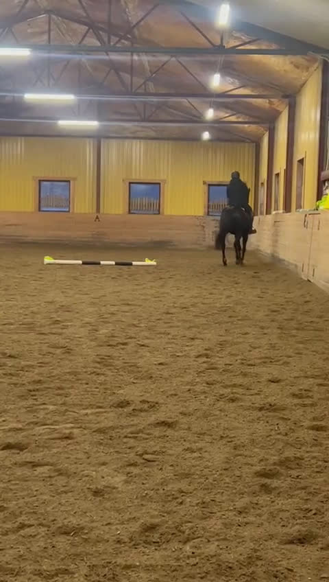 Allround hästar till salu: Trevligt sto- perfekt utvecklingshäst  i Hallstahammar - Video 4