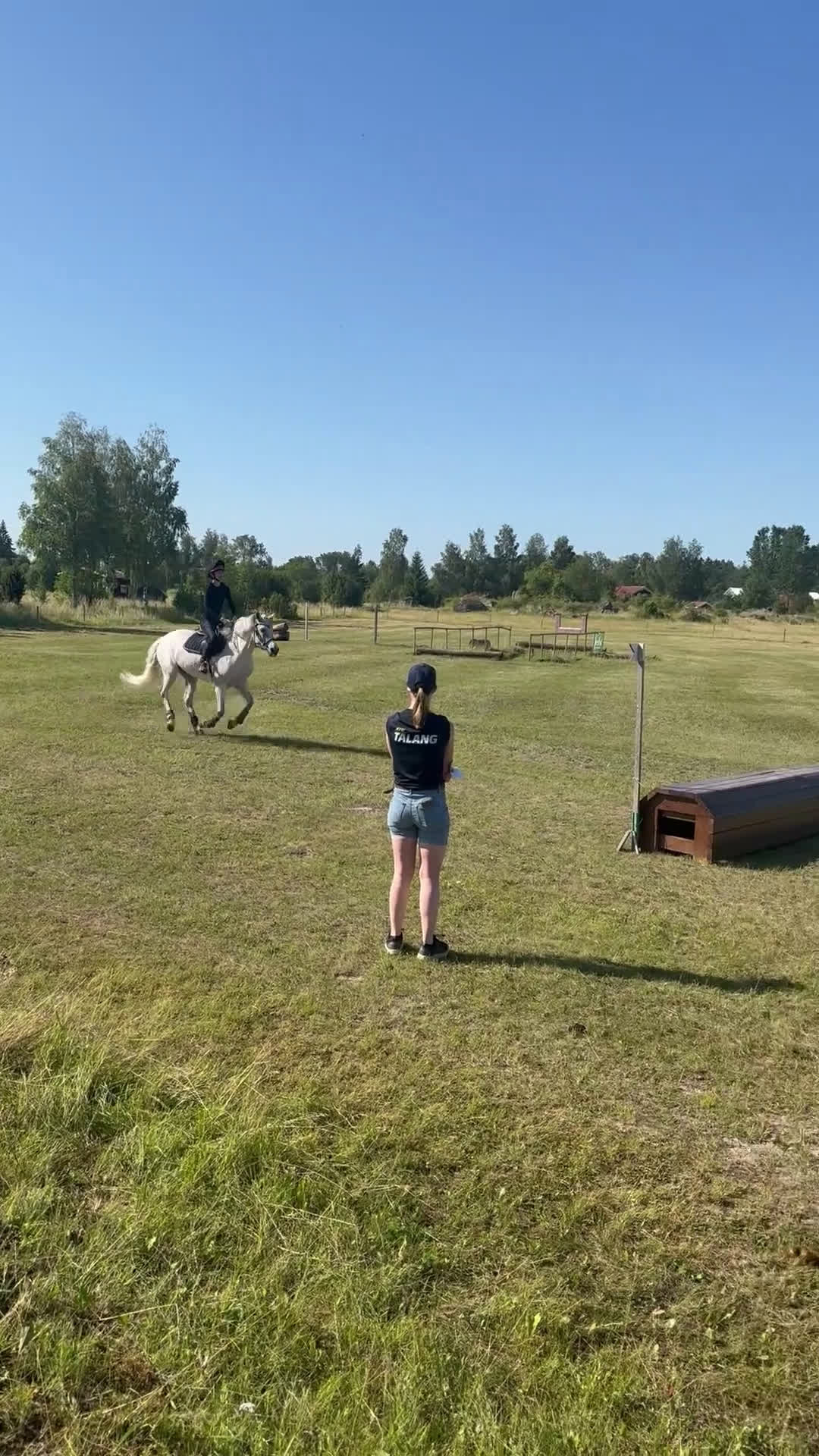 Hoppning hästar till salu: Vackraste ponnyn - Video 4