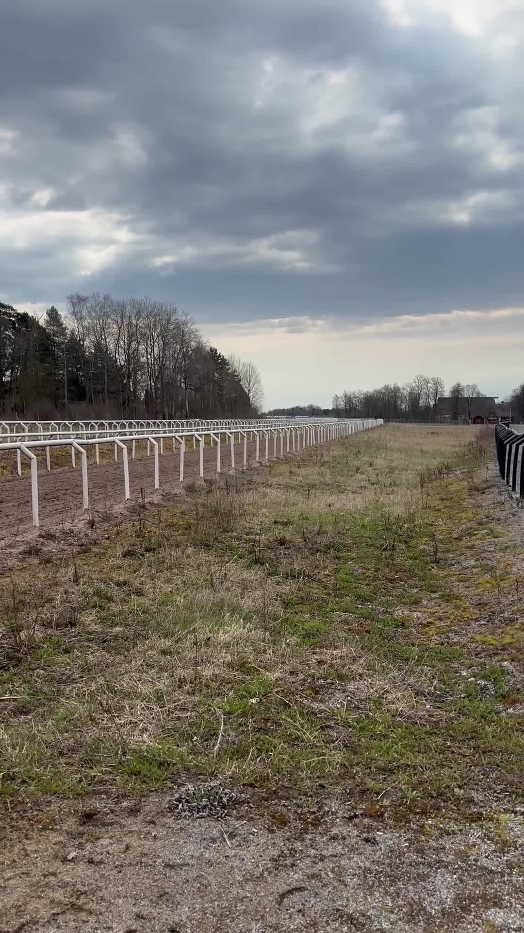 Allround hästar till salu: Underbar häst till salu i Djursholm - Video 1
