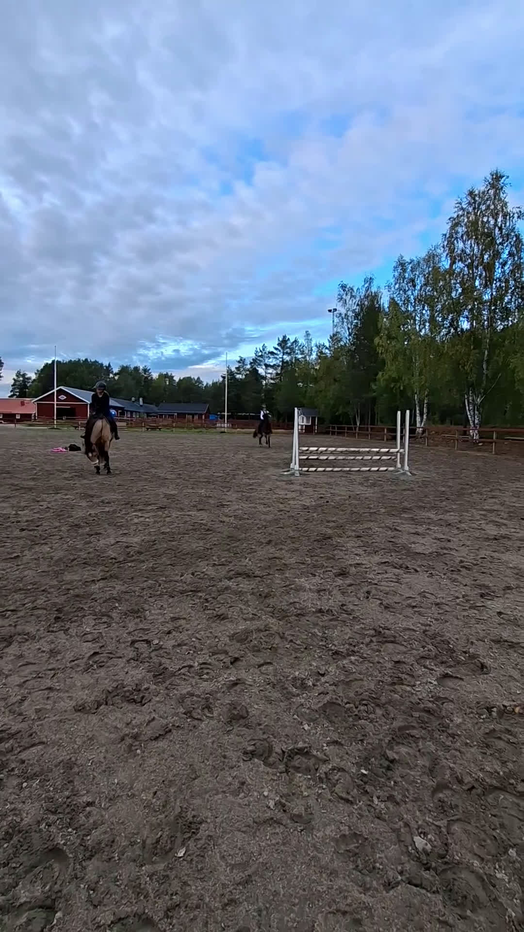Allround hästar till salu: Allround med talang hoppning i Ilsbo - Video 2