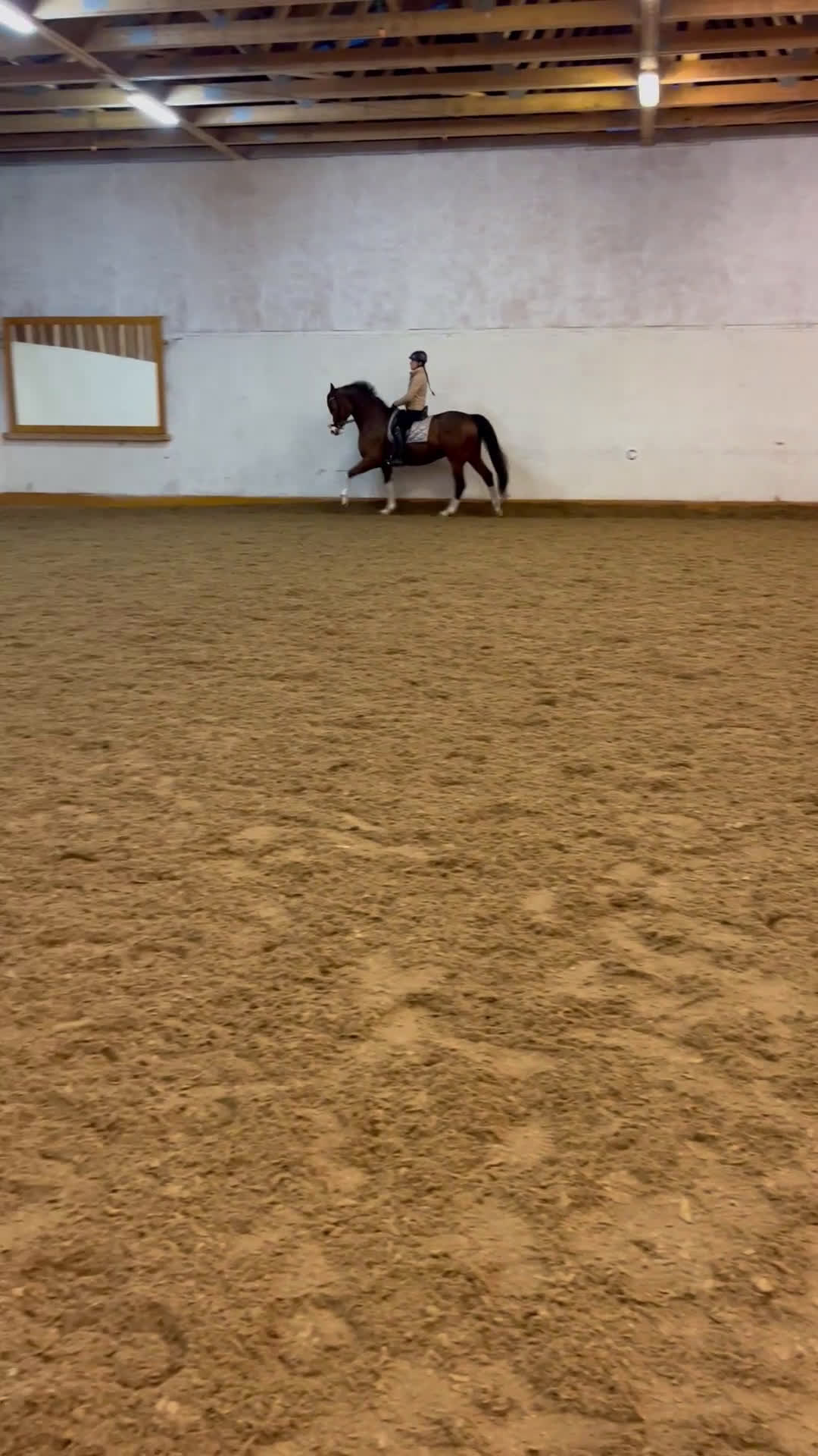 Dressyr hästar till salu: Genom snäll valack med utstålning i Flisby - Video 2