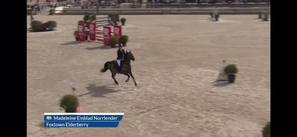 Hoppning hästar till salu: Elitponny Foxtown Elderberry - Video 1