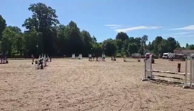 Hoppning hästar till salu: Härlig hopp-ponny i Tranås - Video 1