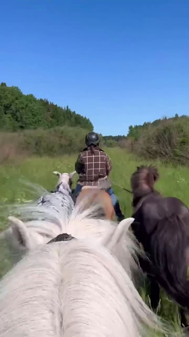  stallplats finnes: En stallplats alternativt 2 lösdriftplatser! - Video 1